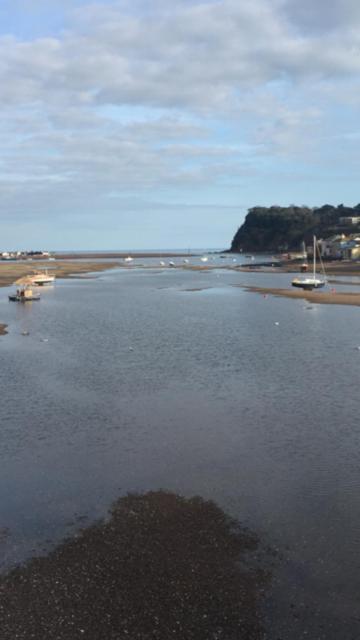 1 Laurel Cottages Dawlish Zewnętrze zdjęcie
