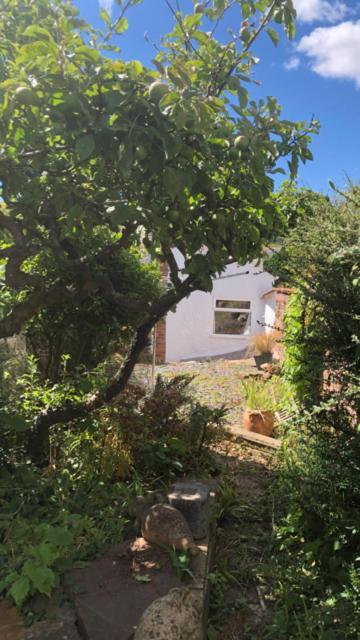 1 Laurel Cottages Dawlish Zewnętrze zdjęcie