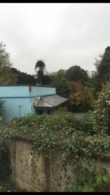 1 Laurel Cottages Dawlish Zewnętrze zdjęcie