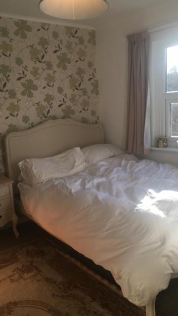 1 Laurel Cottages Dawlish Zewnętrze zdjęcie
