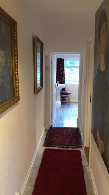 1 Laurel Cottages Dawlish Zewnętrze zdjęcie